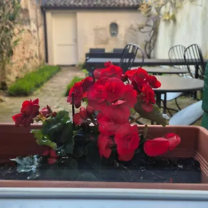 19 Borgo Cavour 3*, Treviso Włochy